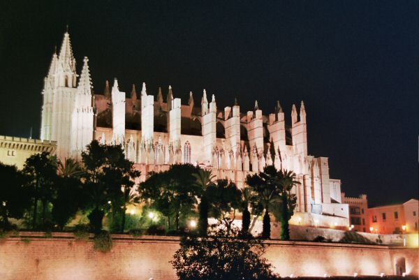Palma Catedral