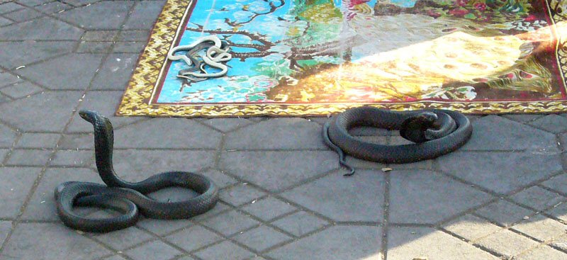 Plaza Jemaa El-Fna