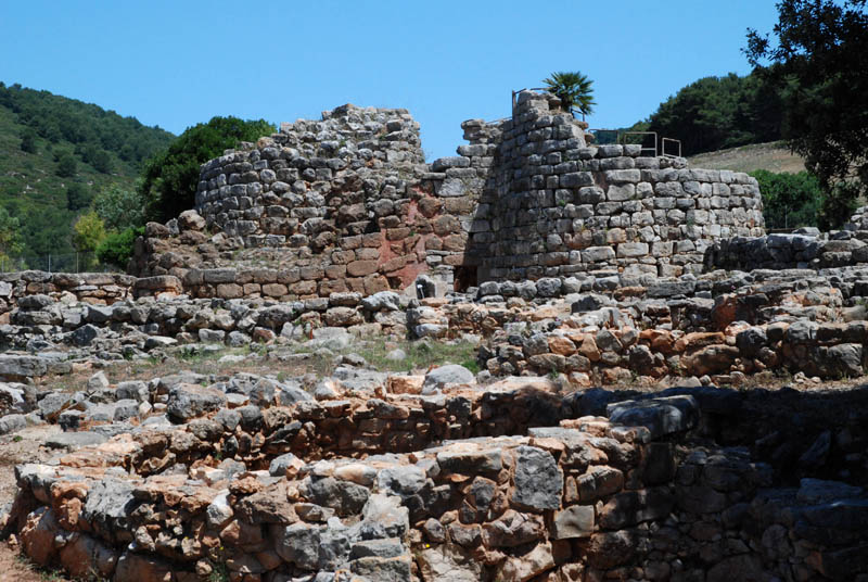 Palmavera