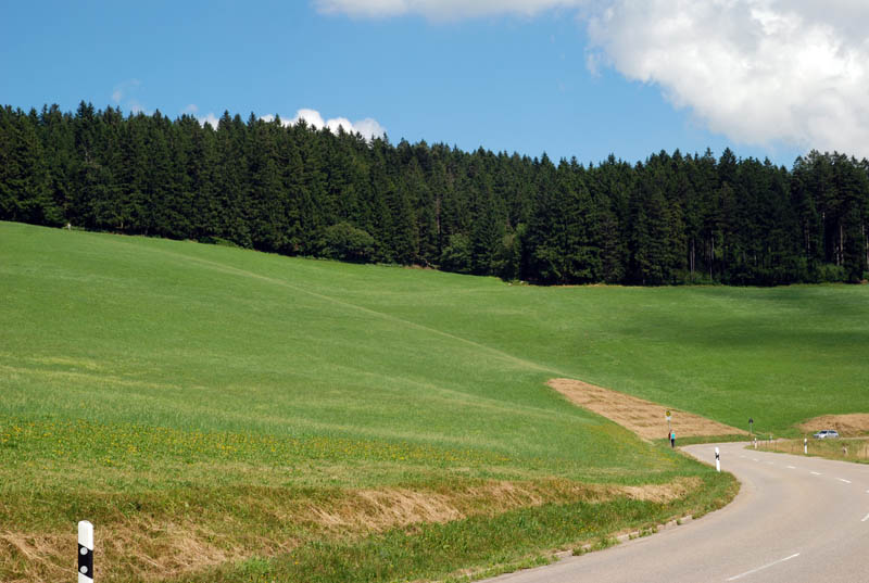 Panoramastrasse (Black Forest panorama route)